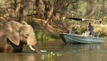 Wilds of Southern Africa