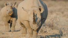 Etosha Mountain Lodge 