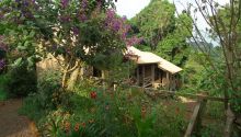 Mbahe Farm Cottages