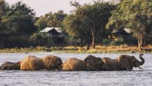 Anabezi Camp