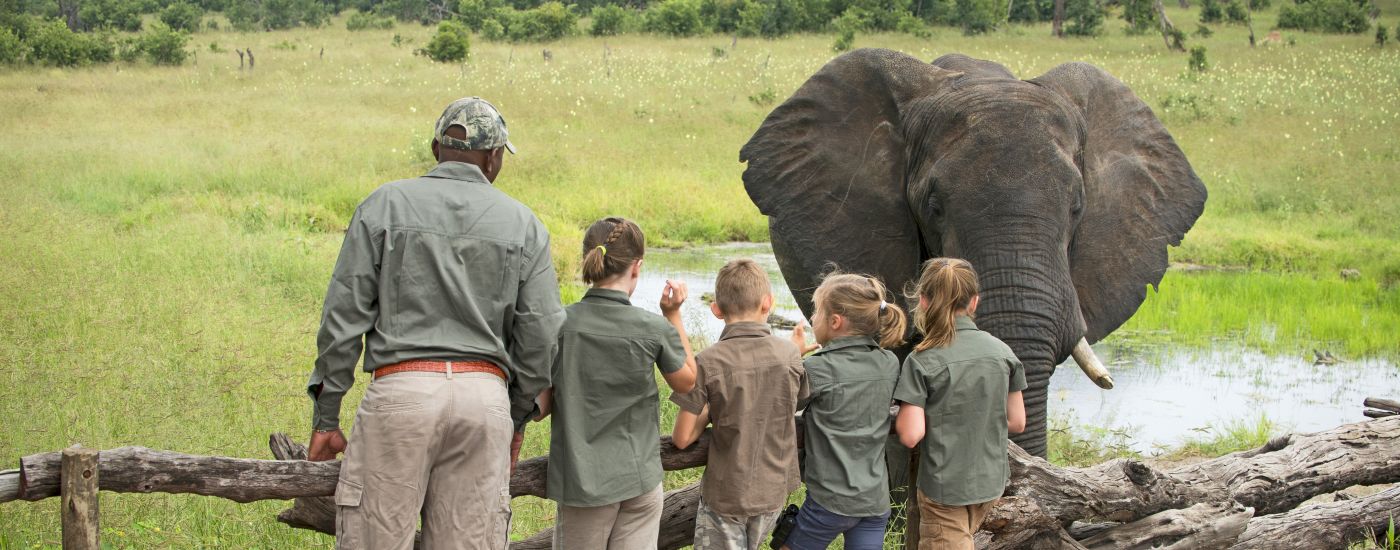 Personally vetted family safari experiences