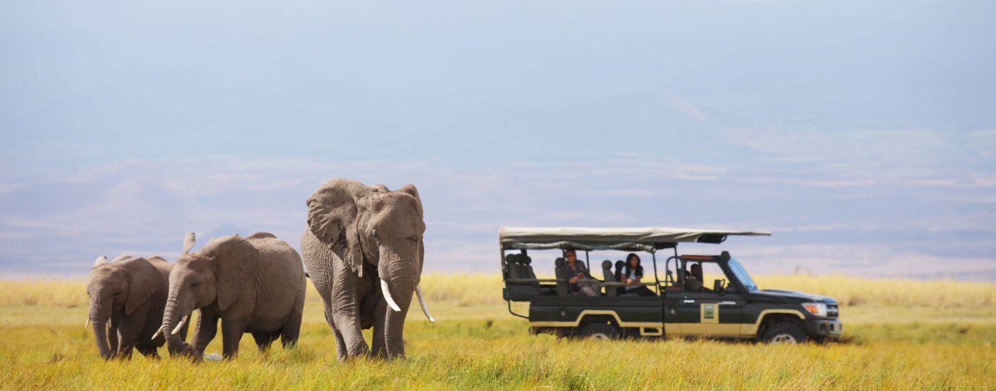 Every trip with us supports wildlife conservation