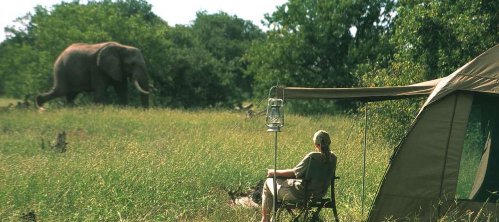 Delta Explorer Campsite, Okavango Delta, Botswana - Image 2