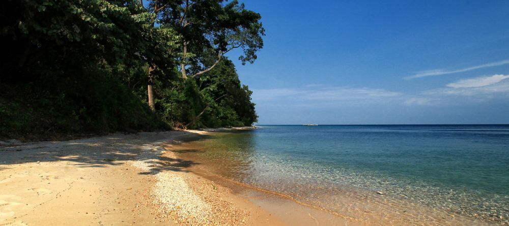 Scenery at Gombe Forest Lodge, Gombe National Park, Tanzania - Image 14