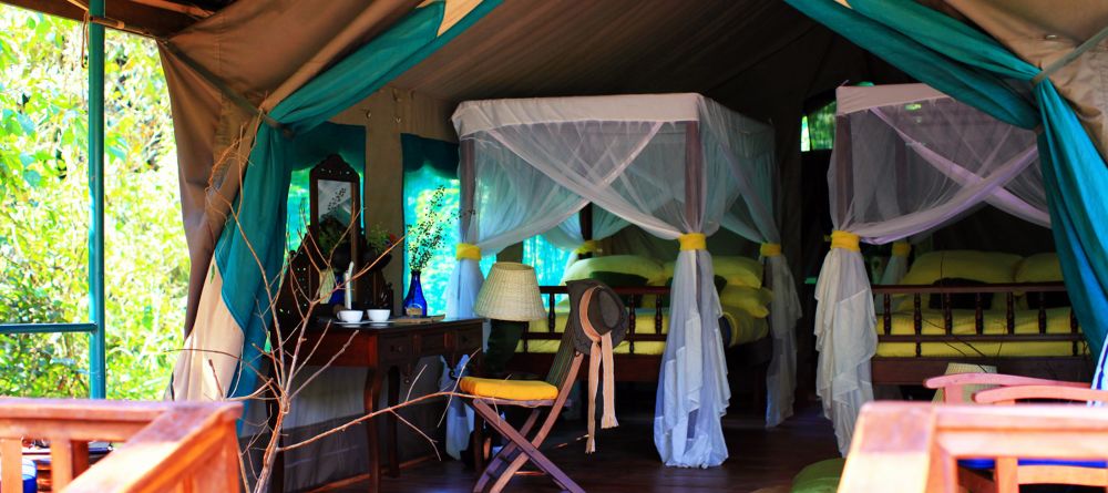 Tent at Gombe Forest Lodge, Gombe National Park, Tanzania - Image 10