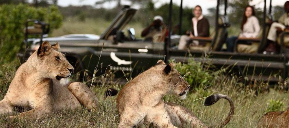 Delta Explorer Campsite, Okavango Delta, Botswana - Image 18