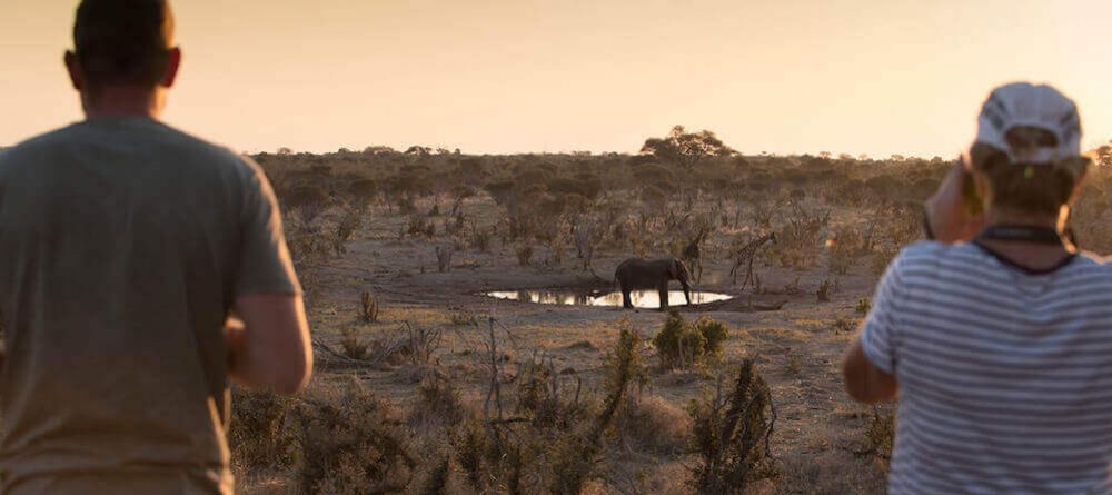 Watching wildlife at Skybeds - Image 2