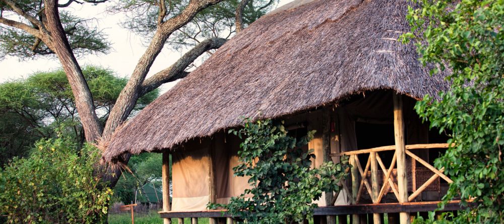 Tarangire River Camp - Image 4