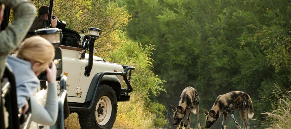 Morukuru game drive - Image 1