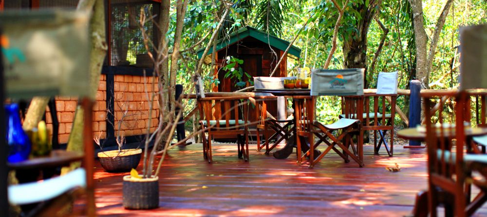 Dining at Gombe Forest Lodge, Gombe National Park, Tanzania - Image 11