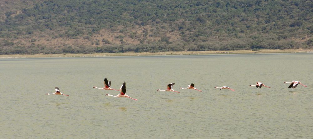 Ngare Sero Lake Natron Camp, Lake Natron, Tanzania - Image 8