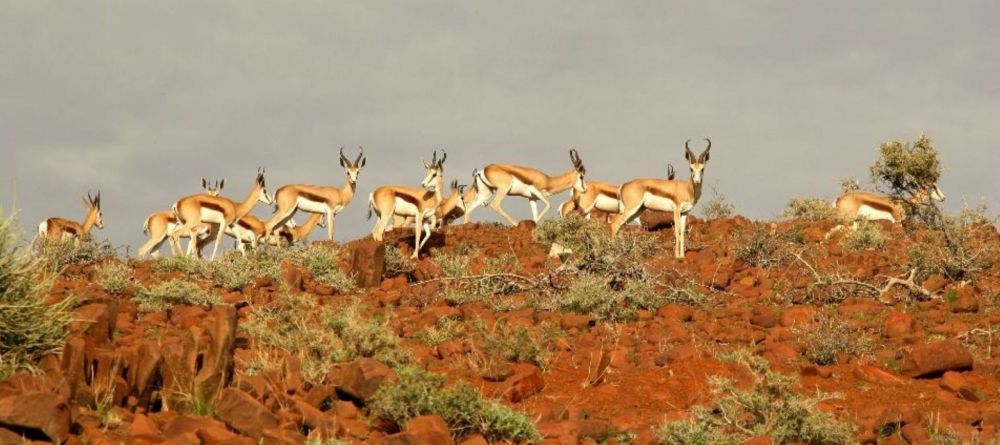 Camp Kipwe, Damaraland, Namibia - Image 3