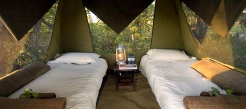 Camp Tents - Image 3