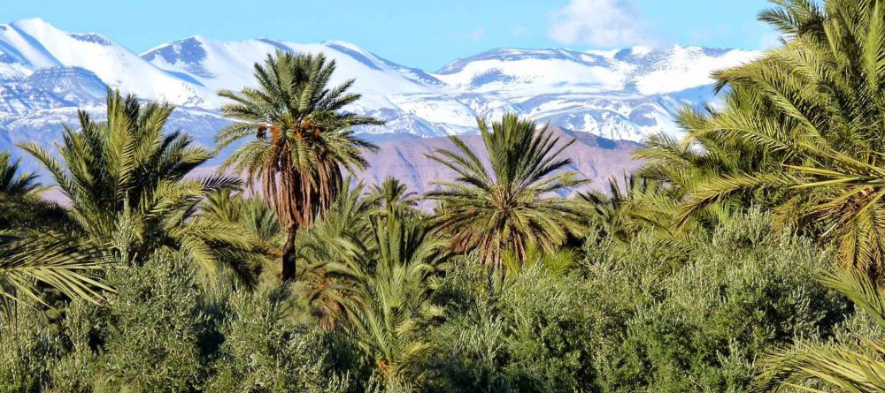 L'Ma Lodge, Ouarzazate, Morocco - Image 8