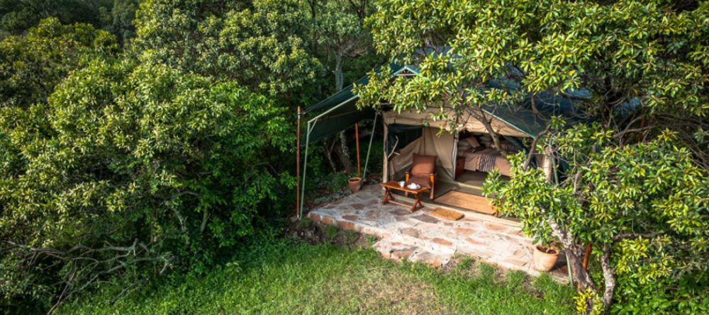 Losokwan Camp, Lemek Conservancy, Kenya - Image 2