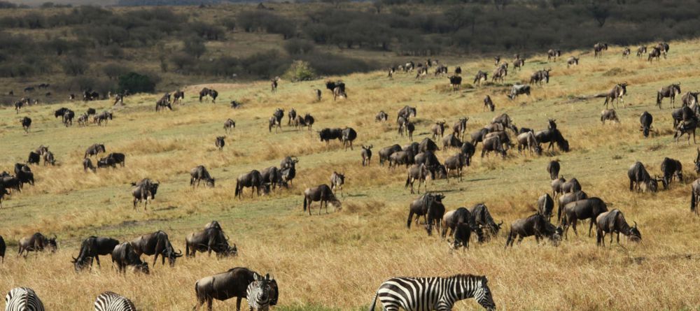 Mahali Mzuri, Olare Motogori Conservancy, Kenya - Image 30