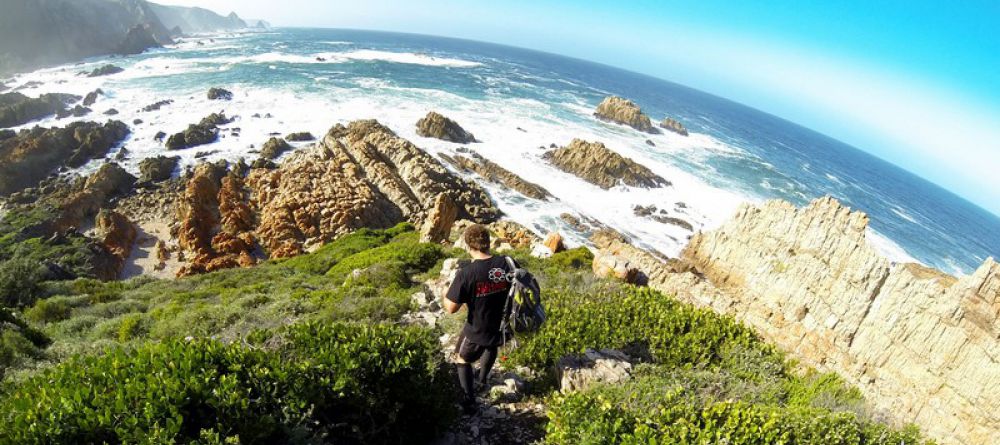 The Harkerville Hiking Trail, Garden Route, South Africa - Image 1