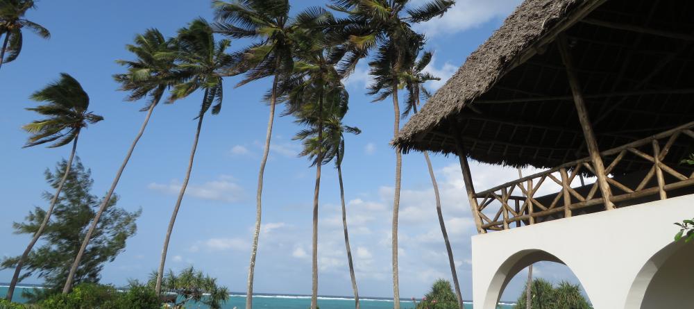 The idyllic beachfront setting complete with turquoise waters and swaying palm trees at Villa Turquoise, Zanzibar, Tanzania (Mango staff photo) - Image 8