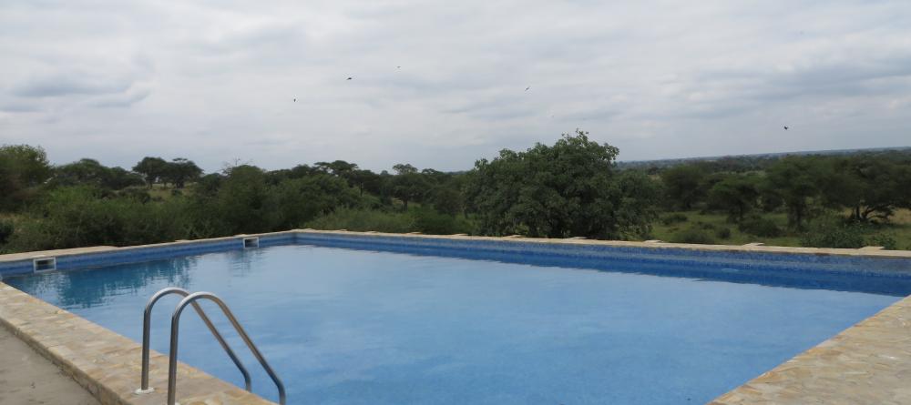 The large pool overlooks the baobab spotted landscape at Tarangire Osupuko Lodge, Tarangire National Park, Tanzania (Mango staff photo) - Image 5