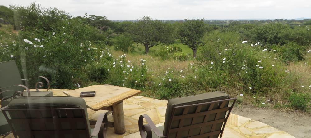 A veranda overlooking the sweeping Tarangire wilderness at Tarangire Osupuko Lodge, Tarangire National Park, Tanzania (Mango staff photo) - Image 3