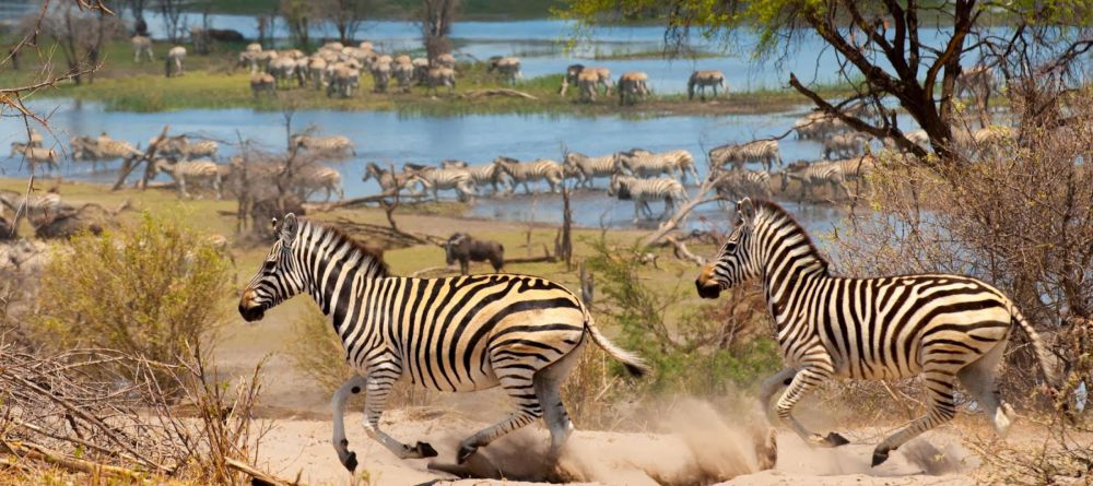 Meno A Kwena, Kalahari, Botswana - Image 4