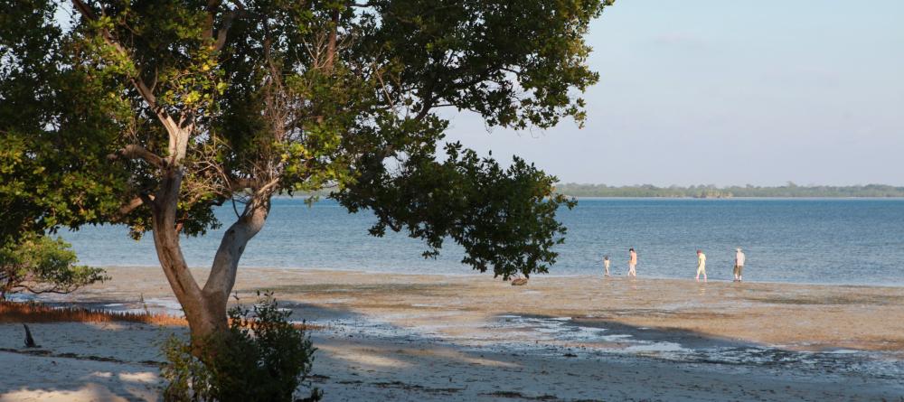Enjoy beach walks at Kinasi Lodge, Mafia Island, Tanzania (Mango staff photo) - Image 11