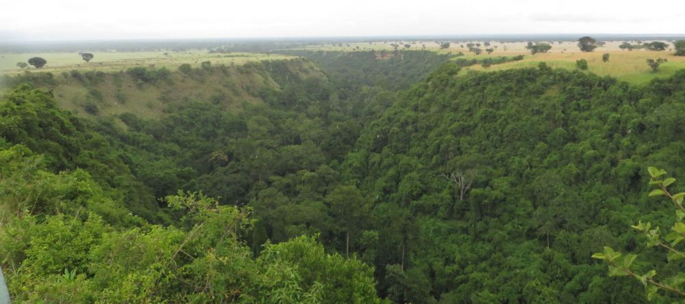 At Kyambura Gorge guests can trek to see wild chimpanzees - Image 5
