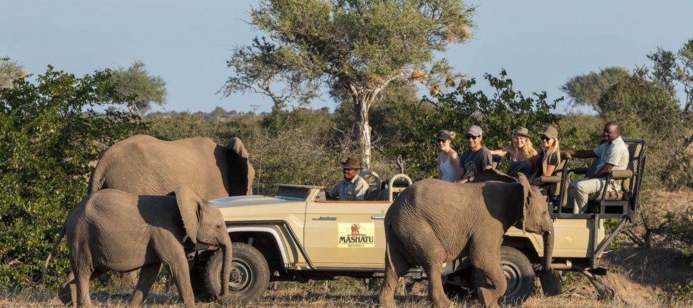 Mashatu Lodge, Mashatu Game Reserve, Botswana - Image 16