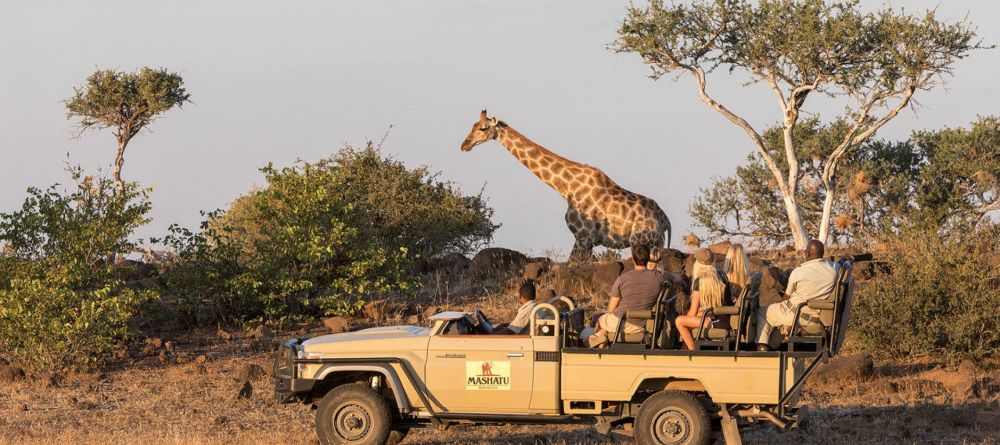 Mashatu Lodge, Mashatu Game Reserve, Botswana - Image 13