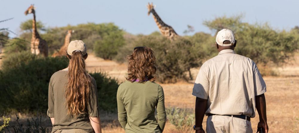 Mashatu Lodge, Mashatu Game Reserve, Botswana - Image 18