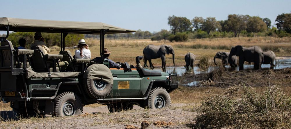 Game drive - Image 8