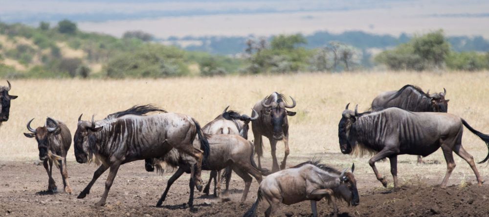 Mahali Mzuri, Olare Motogori Conservancy, Kenya - Image 6