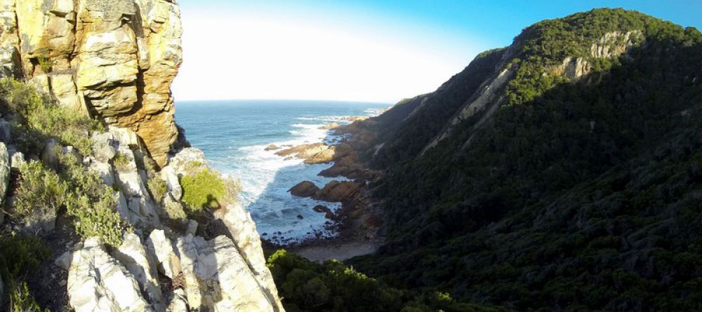 The Harkerville Hiking Trail, Garden Route, South Africa - Image 3