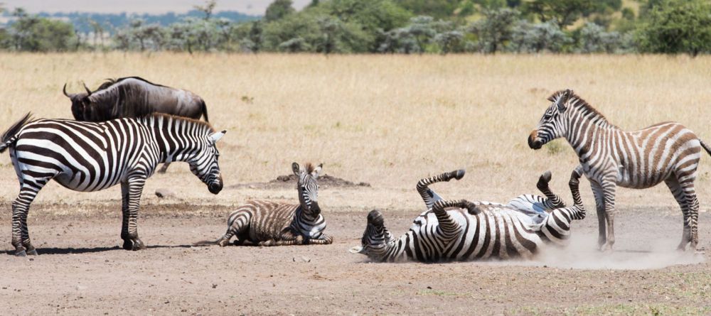 Mahali Mzuri, Olare Motogori Conservancy, Kenya - Image 12