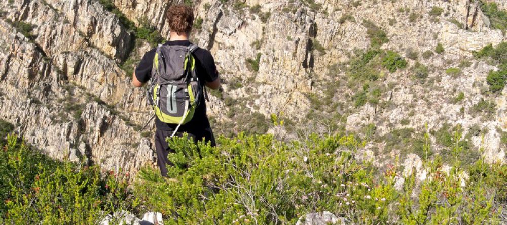 The Harkerville Hiking Trail, Garden Route, South Africa - Image 4