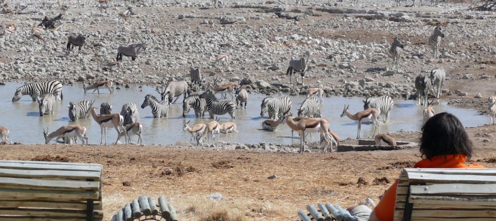 Guests sit in the observation area overlooking the watering hole that attracts abundant wildlife at Okaukuejo Rest Camp, Etosha National Park, Namibia - Image 3