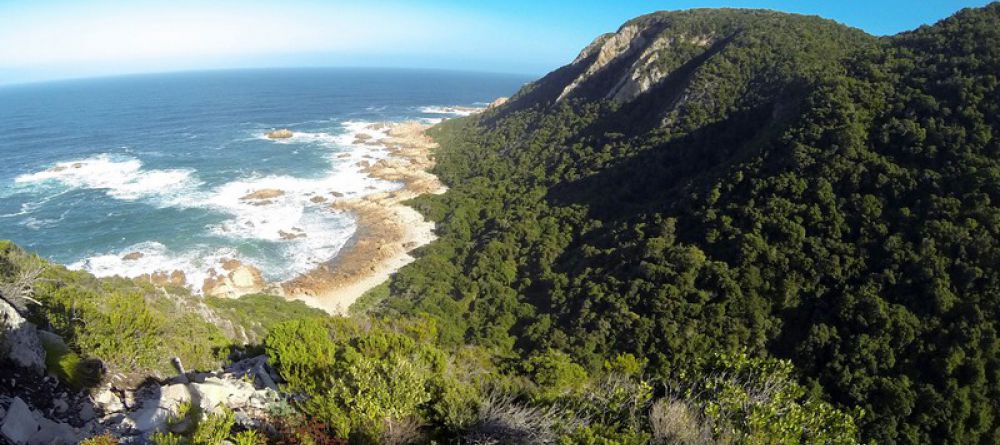 The Harkerville Hiking Trail, Garden Route, South Africa - Image 2