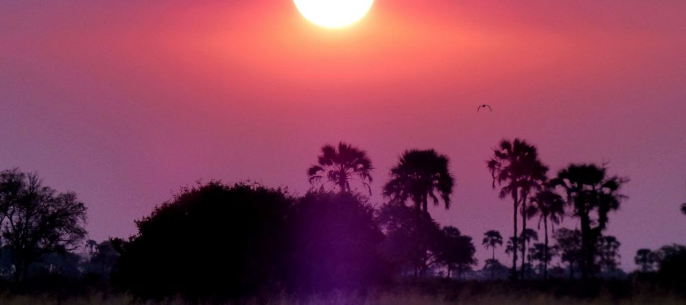 Sandibe Safari Lodge, Okavango Delta, Botswana - Image 20