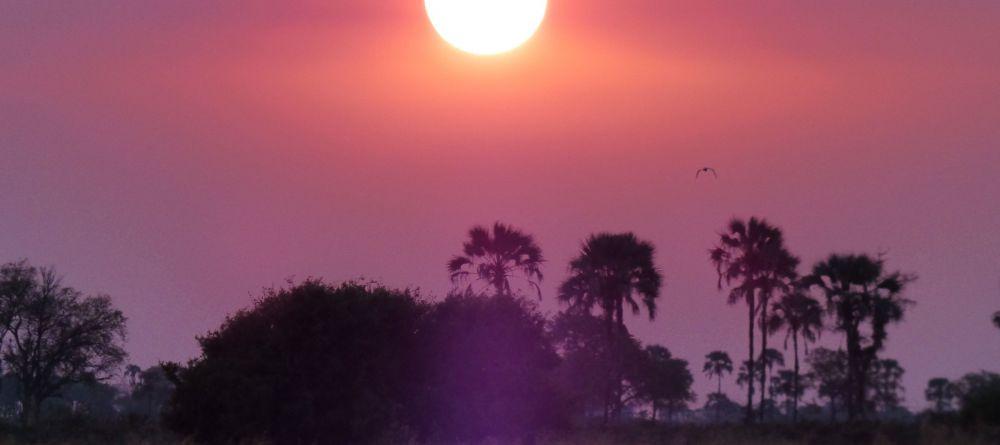 Gomoti Plains Camp, Moremi Game Reserve, Botswana - Image 16