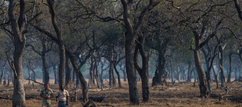 Shawa Luangwa Camp Activities - Image 3