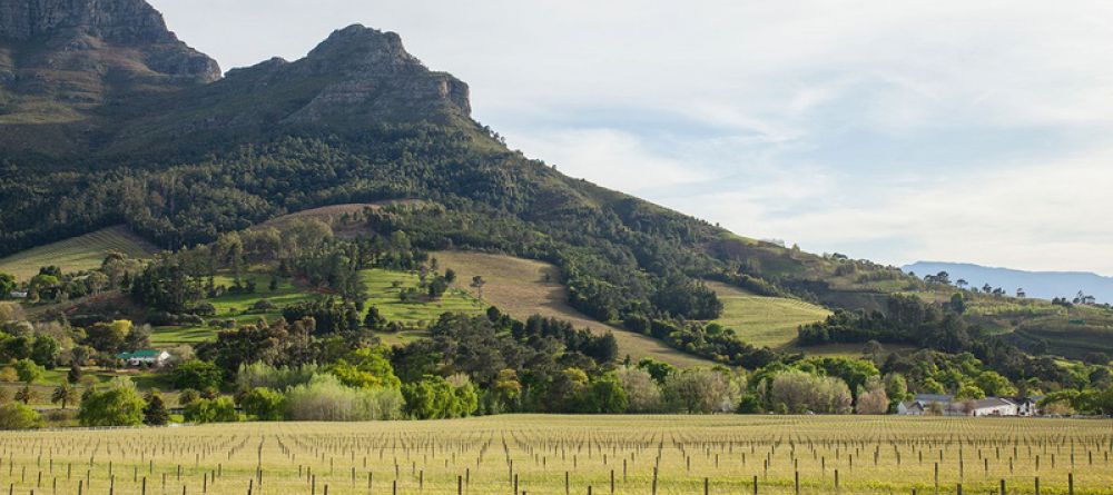 Banhoek Lodge, Stellenbosch, South Africa - Image 2