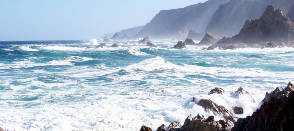 The Harkerville Hiking Trail, Garden Route, South Africa - Image 7