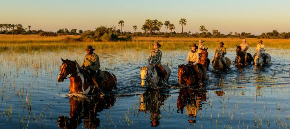 Macatoo Horseback Safari, Okavango Delta, Botswana - Image 5