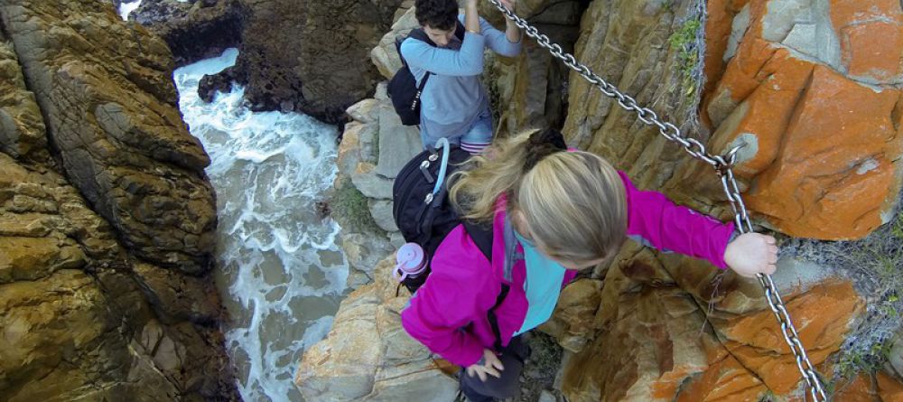 The Harkerville Hiking Trail, Garden Route, South Africa - Image 8
