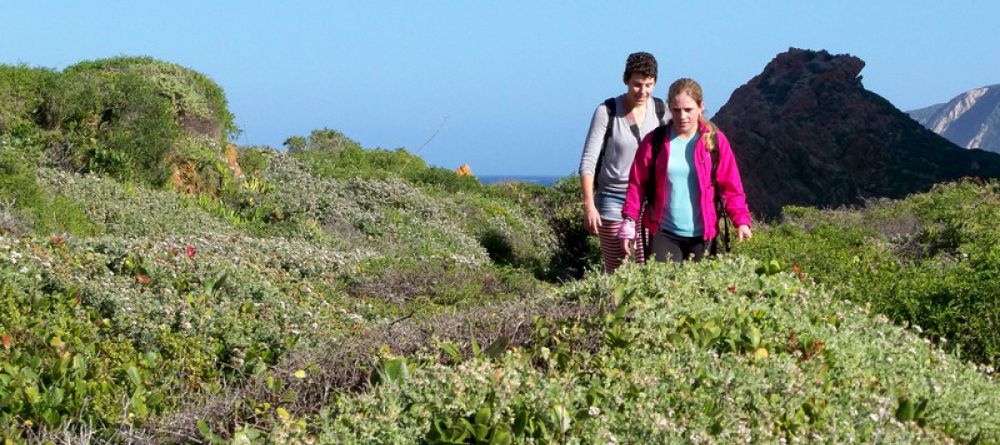 The Harkerville Hiking Trail, Garden Route, South Africa - Image 9