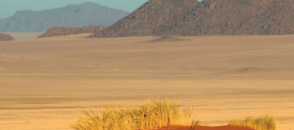 Landscape at Wolwedans Dune Camp, NamibRand Nature Reserve, Namibia - Image 17
