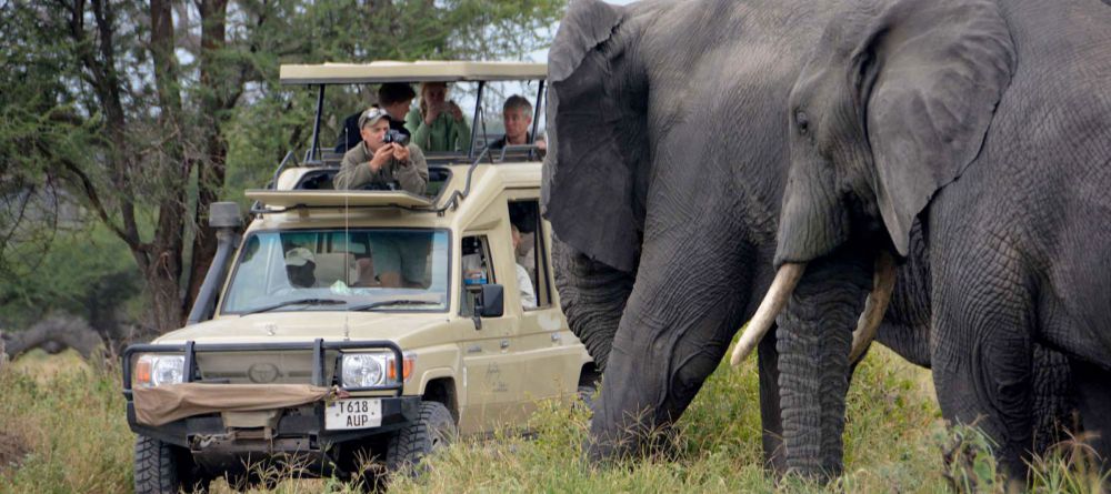 Legendary Safari Camp, Serengeti National Park, Tanzania - Image 3