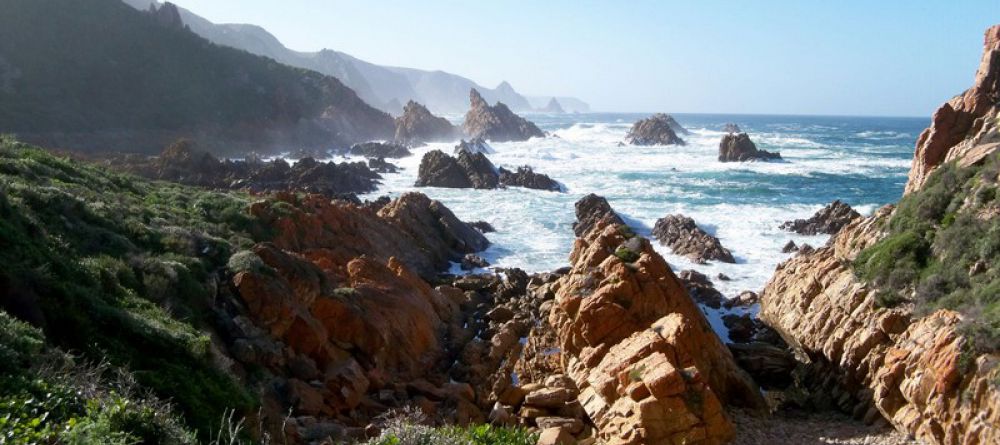 The Harkerville Hiking Trail, Garden Route, South Africa - Image 10