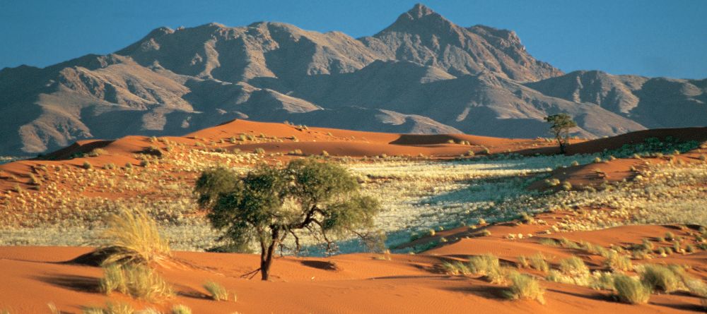 Landscape at Wolwedans Dune Camp, NamibRand Nature Reserve, Namibia - Image 19