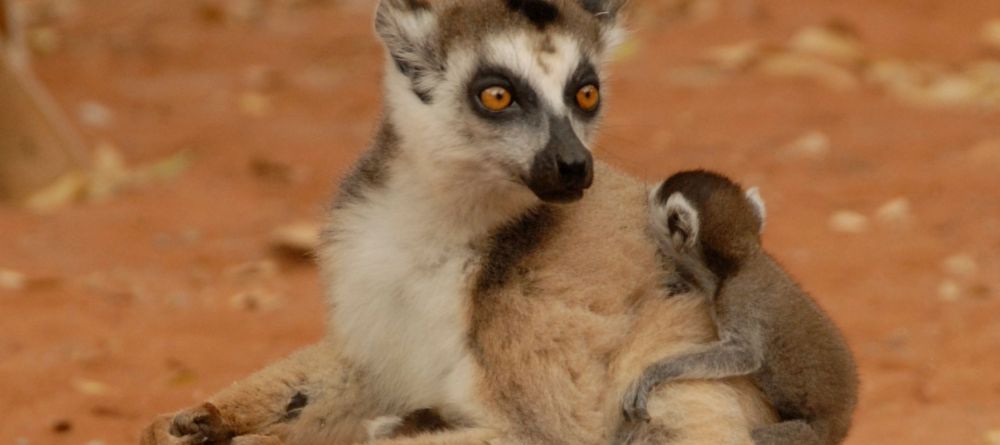 Le Jardin du Roy, Isalo National Park, Madagascar - Image 8